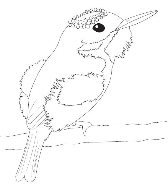 Flower Crowned Hummingbird Coloring Page Flower Crowned Hummingbird Coloring Page