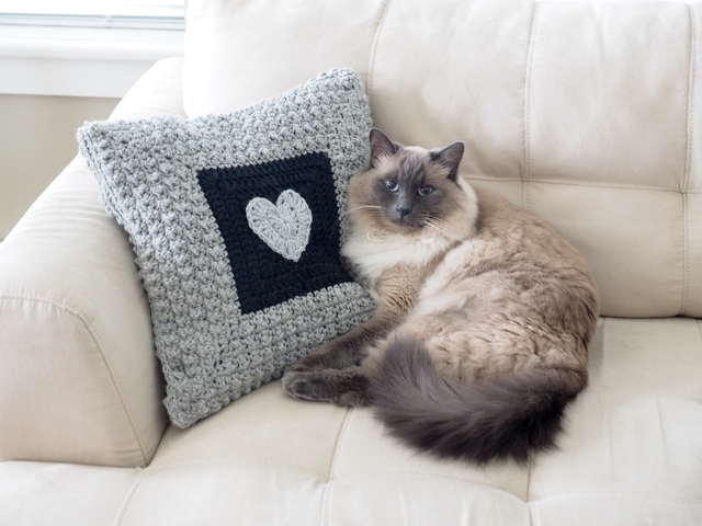 Aligned Cobble Stitch Pillow Crochet Pattern Aligned Cobble Stitch Pillow Crochet Pattern