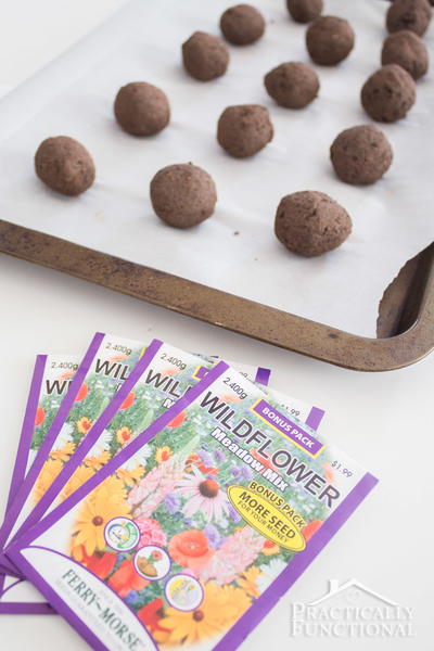 Easy DIY Seed Bombs Easy DIY Seed Bombs