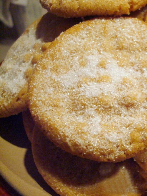 Peanut Butter Cookies Peanut Butter Cookies