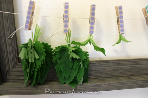 How to Quickly Dry Herbs: Cut Your Herb Drying "Thyme" in Half