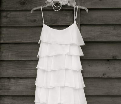 The New Woman's Flapper Dress The New Woman's Flapper Dress