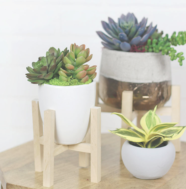 DIY Mini Plant Stands DIY Mini Plant Stands