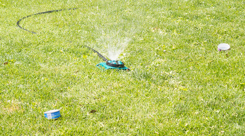 DIY Sprinkler Gauge DIY Sprinkler Gauge