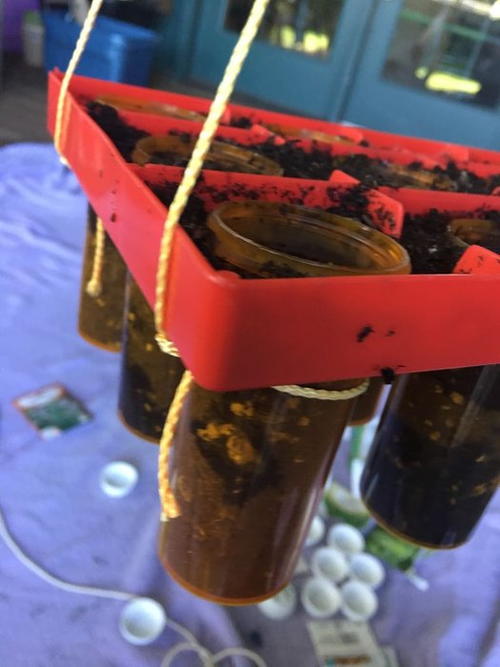 DIY Hanging Herb Garden DIY Hanging Herb Garden