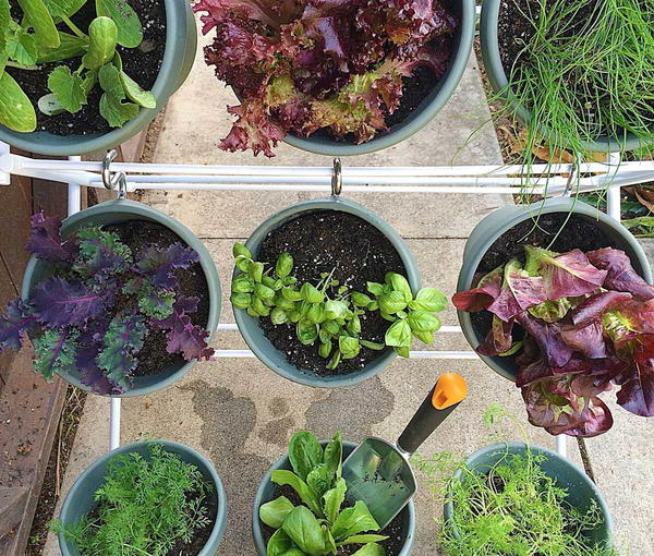 DIY Vertical Herb Garden DIY Vertical Herb Garden