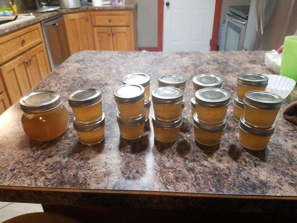 Homemade Maple Syrup Tutorial Homemade Maple Syrup Tutorial