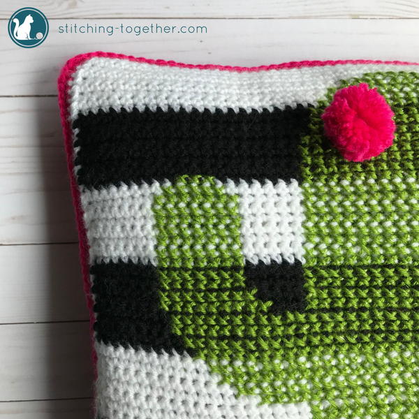 Cactus Pillow Cactus Pillow