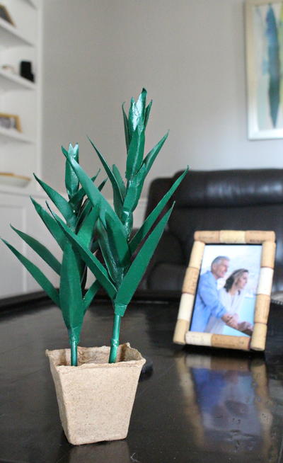DIY Aloe Vera Paper Plant