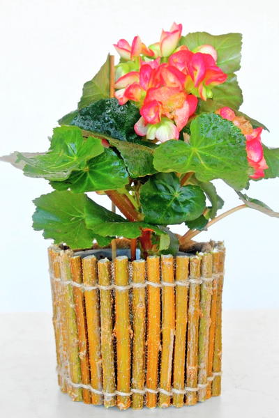 Rustic Flower Pot Rustic Flower Pot