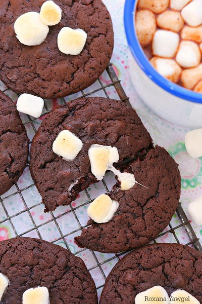 Hot Chocolate and Marshmallow Cookies
