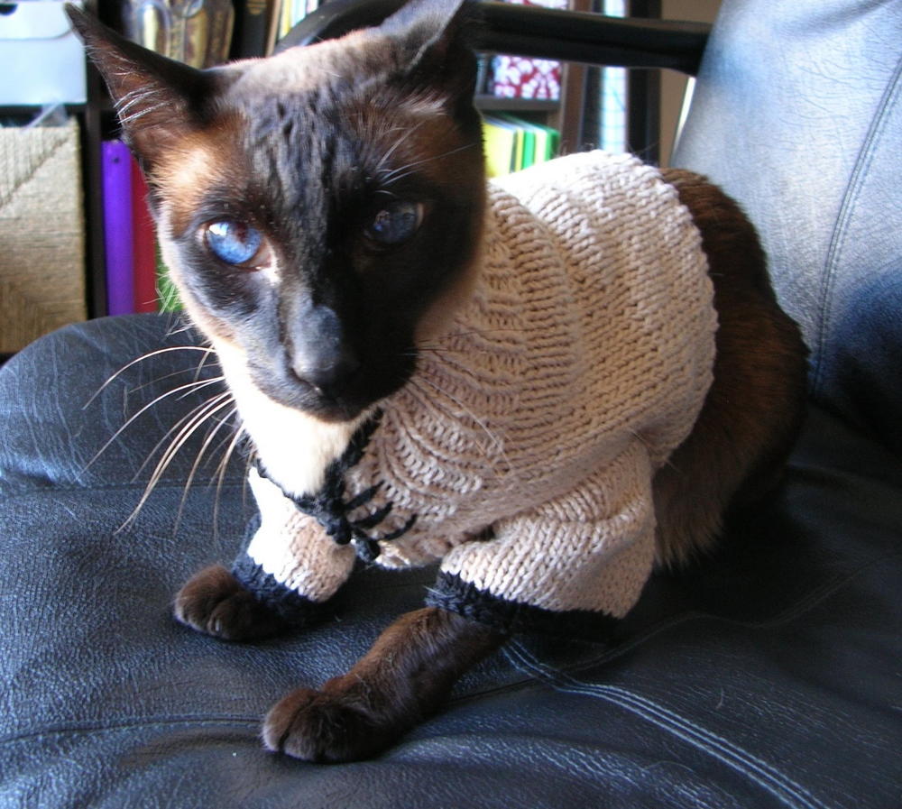 Lucky Cat Sweater AllFreeKnitting Lucky Cat Sweater AllFreeKnitting