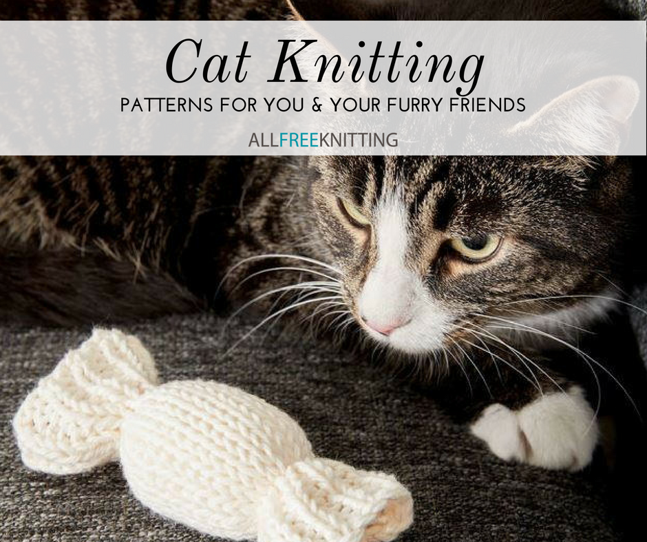 Cat Knitting 15 Patterns for You and Your Feline