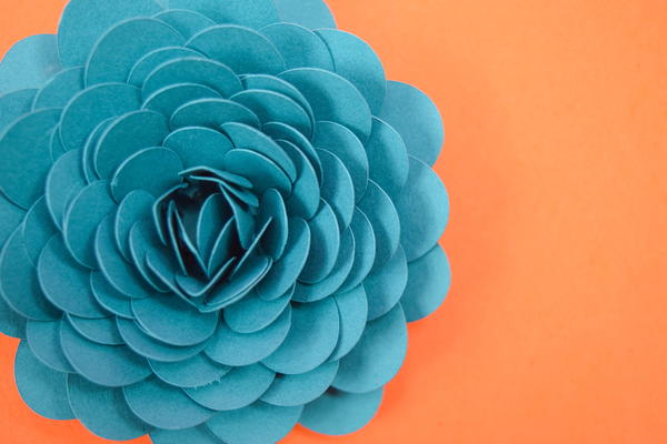 Paper Succulent Flower Tutorial Paper Succulent Flower Tutorial