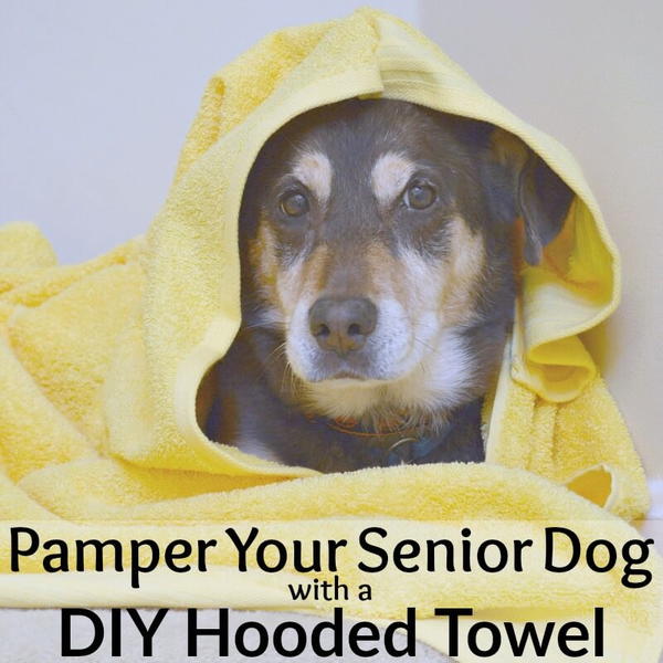 Pamper Your Senior Dog with a DIY Hooded Towel Pamper Your Senior Dog with a DIY Hooded Towel