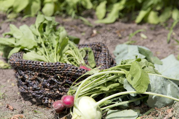 Convertible Vegetable Bowl Convertible Vegetable Bowl