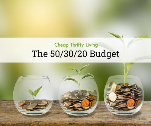 The 503020 Budget Budgeting for Beginners