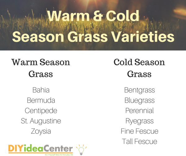Warm and Cold Season Grass Varieties Warm and Cold Season Grass Varieties