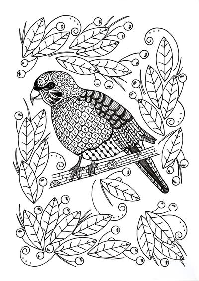 Ornamental Bird Adult Coloring Page Ornamental Bird Adult Coloring Page