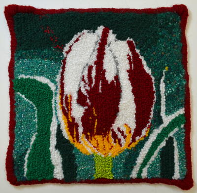 Canada 150 Tulip Canada 150 Tulip