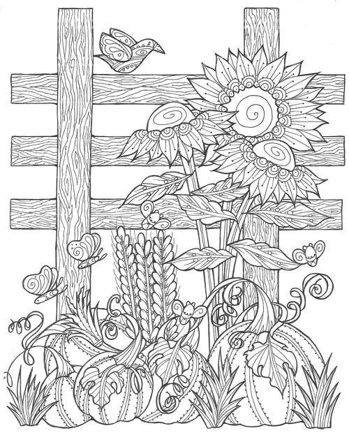Sunflower Pumpkin Patch Coloring Page Sunflower Pumpkin Patch Coloring Page