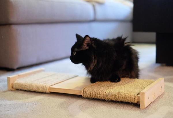 DIY Cat Scratching Post DIY Cat Scratching Post