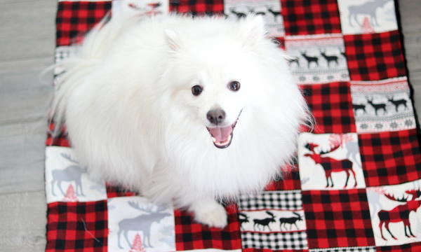 Holiday Snuggle Blanket Holiday Snuggle Blanket