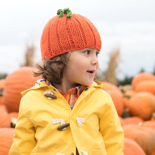 Pumpkin Hat Knitting Pattern Pumpkin Hat Knitting Pattern