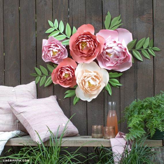 Jumbo Peony Flowers Jumbo Peony Flowers