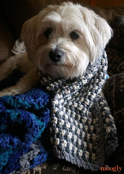 Autumn Amore Scarf Autumn Amore Scarf