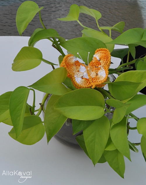 Papillon Crocheted Pin Papillon Crocheted Pin