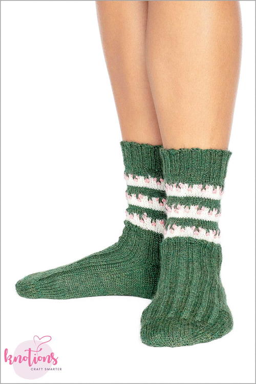 Schlumbergera Schlumbergera