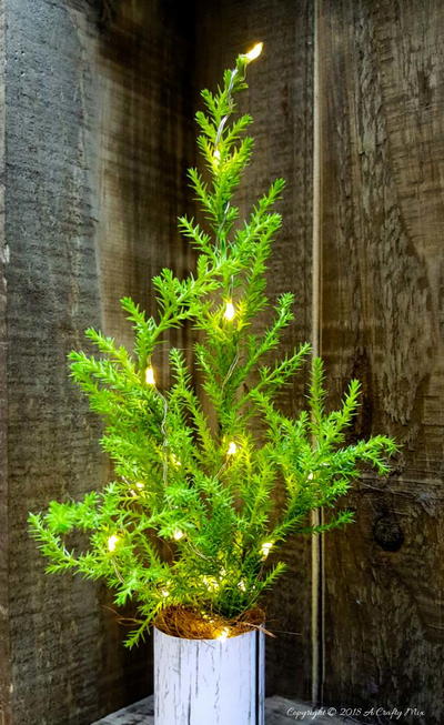 How to Make Real Tabletop Christmas Trees With Lights
