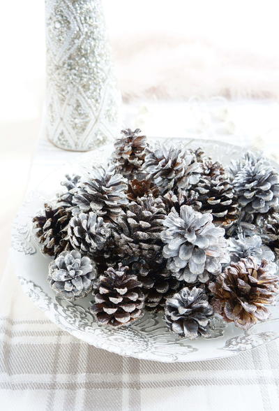 DIY Sparkly Pinecones DIY Sparkly Pinecones
