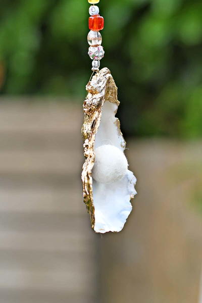 Glamorous Oyster Shell Ornament Glamorous Oyster Shell Ornament