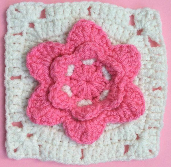 Coming Up Roses Square Coming Up Roses Square