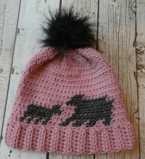 Family Bear Beanie Family Bear Beanie