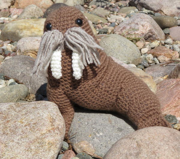 Walter the Walrus Walter the Walrus