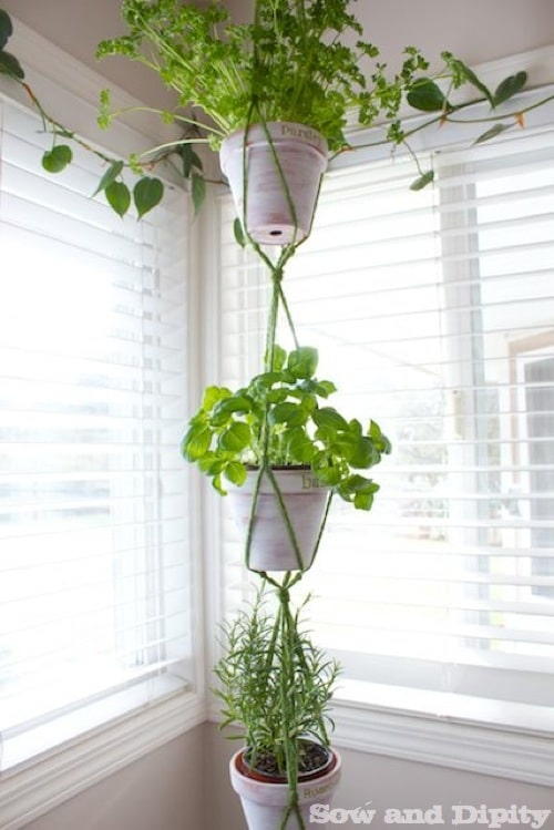 Macrame Herb Hanger Macrame Herb Hanger