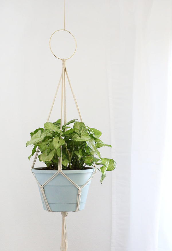 Simple DIY Macrame Plant Hanger Simple DIY Macrame Plant Hanger