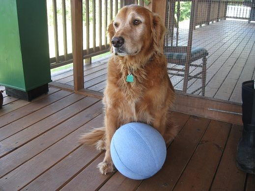 Recycled Blue Jean Volleyball Recycled Blue Jean Volleyball