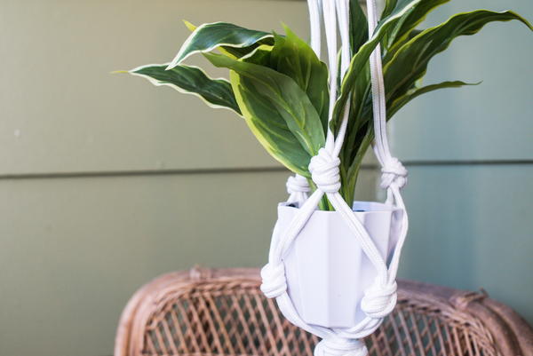 How to Make Macrame Plant Hangers Video How to Make Macrame Plant Hangers Video