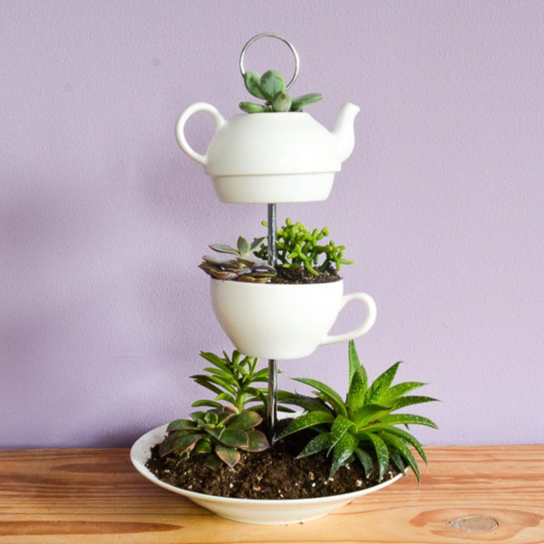 Tall Succulent Planter Tall Succulent Planter