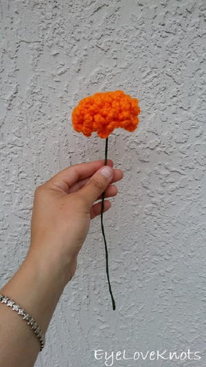 Frilly Flowers Frilly Flowers