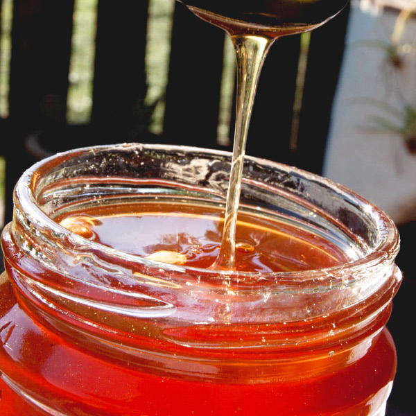 Dandelion Jelly Dandelion Jelly