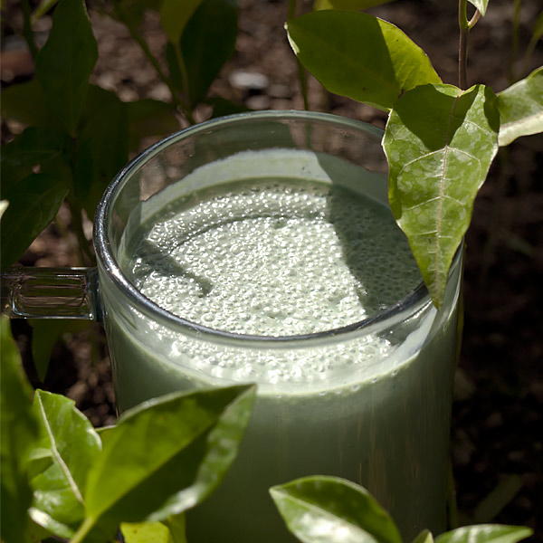 Spirulina Smoothie Spirulina Smoothie
