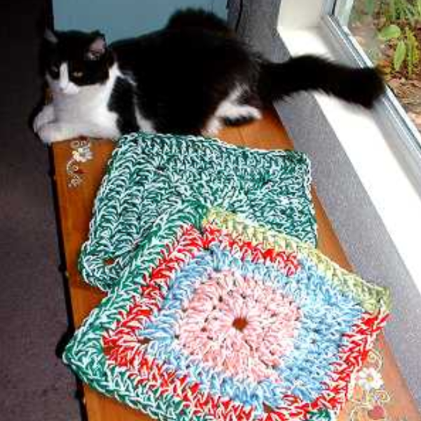 Jennifers 20 Minute Pet Rug Jennifers 20 Minute Pet Rug