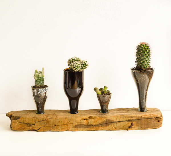 Creative Things to Do With Glass Bottles Upcycled Cacti Planter Creative Things to Do With Glass Bottles Upcycled Cacti Planter