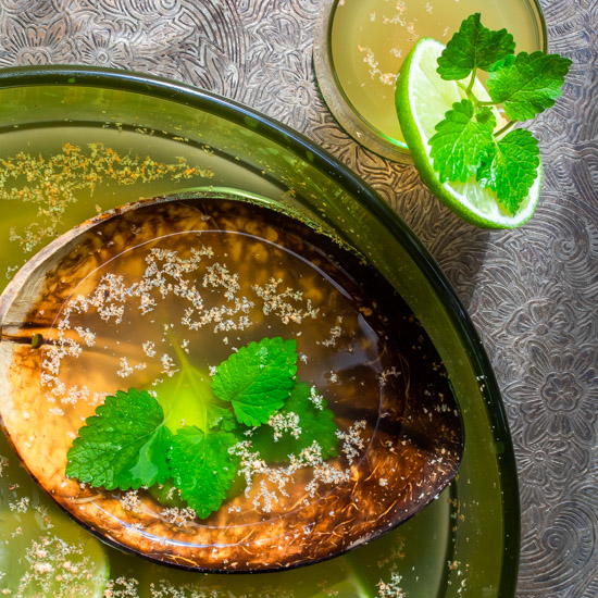 Coconut Palm Arrack Punch Lime Lemon Balm Nutmeg Coconut Palm Arrack Punch Lime Lemon Balm Nutmeg