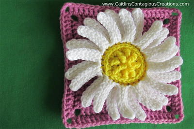 Daisy Square Crochet Pattern